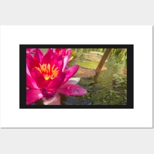 WaterLily Posters and Art